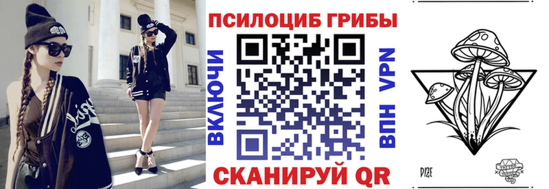 Галлюциногенные грибы прущие грибы  Купить закладки  Ветлуга 